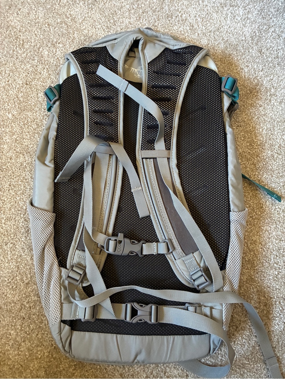 NWT Osprey Daylite Plus Day Pack - Teal & Gray - Picture 2 of 2